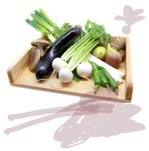 当店のある流山を含む近隣６市・東葛地域は豊富な 野菜の生産地として有名です。 “ごほうび”では地域の新鮮な朝採れ野菜を仕入れ、 素材の味を大切に料理に活かしています。