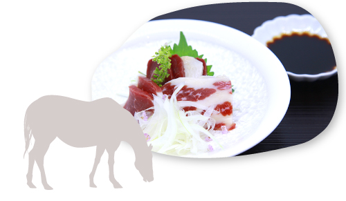 熊本県の雄大な土地で育った馬